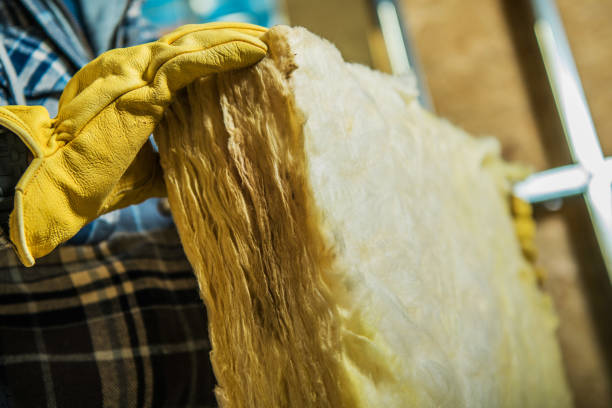 Best Types of Insulation in Royalton, MN