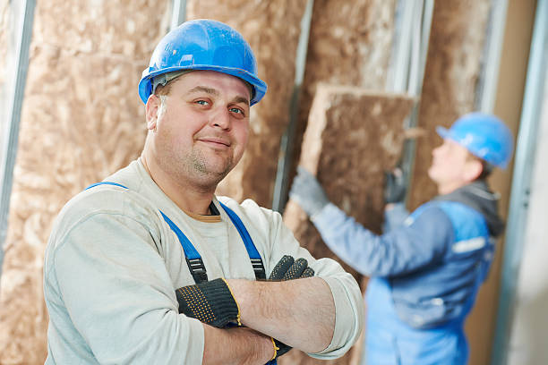 Best Insulation Installation Services in Royalton, MN
