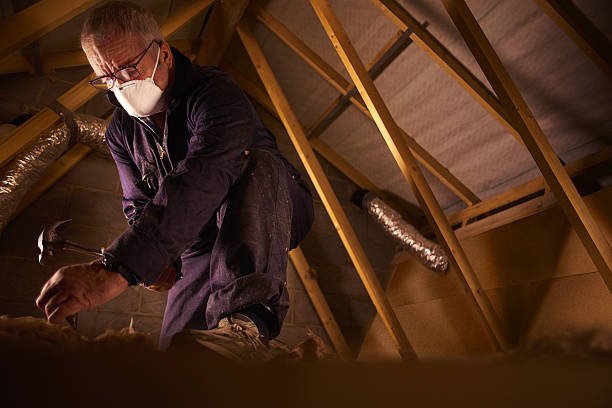 Best Insulation for Specific Applications in Royalton, MN